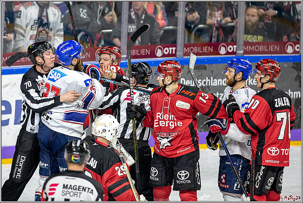 DEL; Koelner Haie - Adler Mannheim, 09.04.2019
